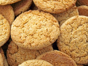 fisioterapia playamar